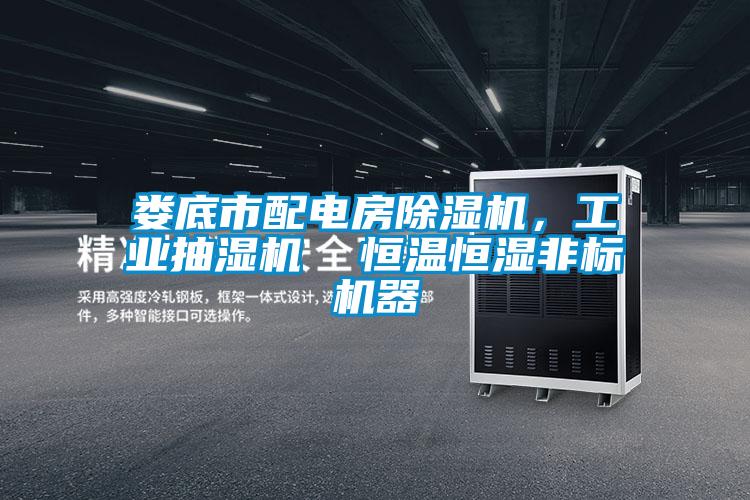 婁底市配電房除濕機，工業抽濕機  恒溫恒濕非標機器