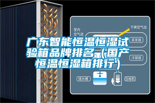 廣東智能恒溫恒濕試驗箱品牌排名(國產(chǎn)恒溫恒濕箱排行)