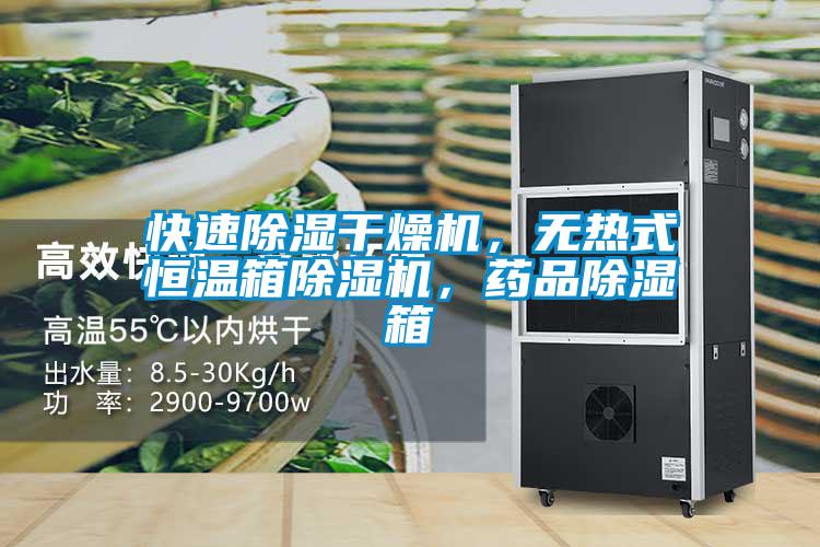 快速除濕干燥機,無熱式恒溫箱除濕機,藥品除濕箱