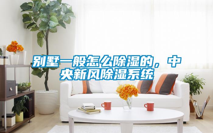 別墅一般怎么除濕的,中央新風除濕系統
