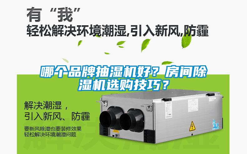 哪個品牌抽濕機(jī)好?房間除濕機(jī)選購技巧?