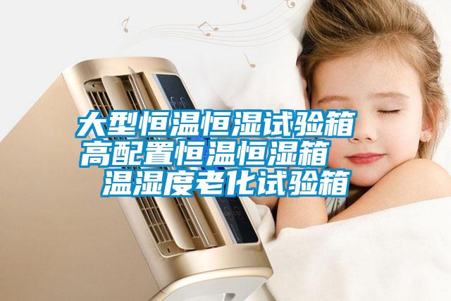 大型恒溫恒濕試驗(yàn)箱 高配置恒溫恒濕箱 溫濕度老化試驗(yàn)箱