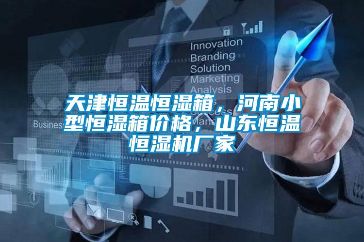 天津恒溫恒濕箱,河南小型恒濕箱價格,山東恒溫恒濕機廠家