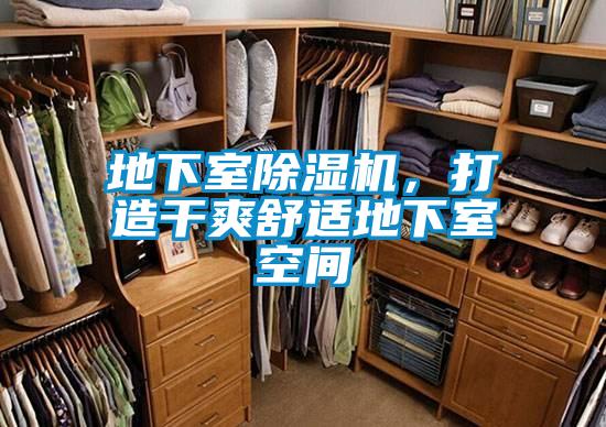 地下室除濕機,打造干爽舒適地下室空間
