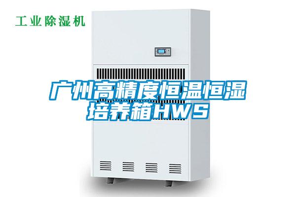 廣州高精度恒溫恒濕培養箱HWS