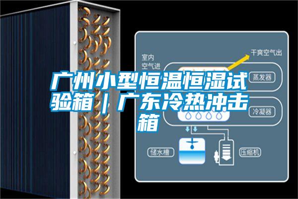 廣州小型恒溫恒濕試驗箱|廣東冷熱沖擊箱