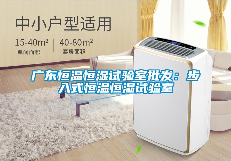 廣東恒溫恒濕試驗(yàn)室批發(fā):步入式恒溫恒濕試驗(yàn)室