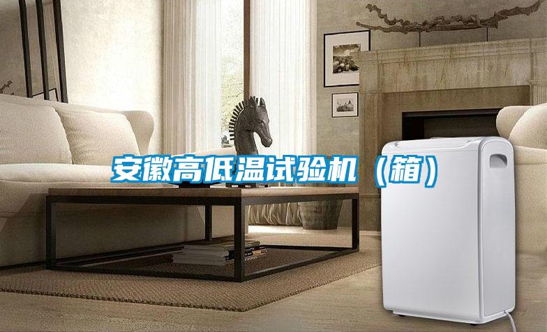安徽高低溫試驗機(箱)