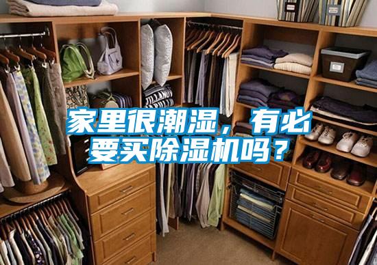家里很潮濕，有必要買除濕機嗎？