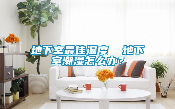 地下室最佳濕度  地下室潮濕怎么辦？