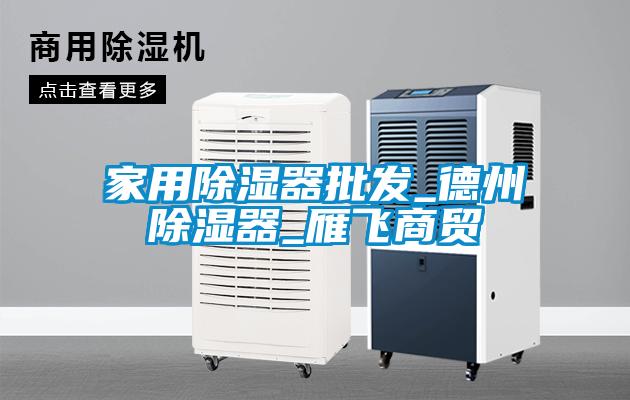 家用除濕器批發_德州除濕器_雁飛商貿