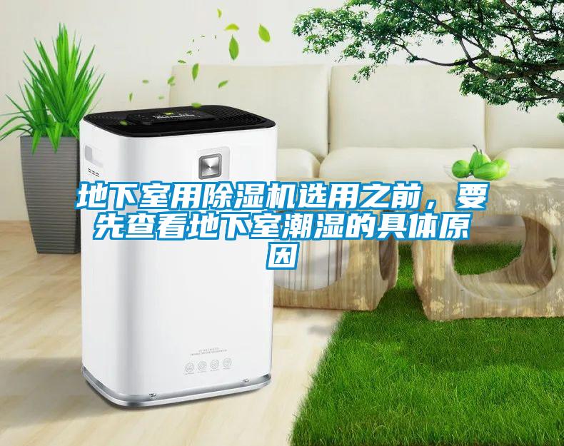 地下室用除濕機(jī)選用之前,要先查看地下室潮濕的具體原因
