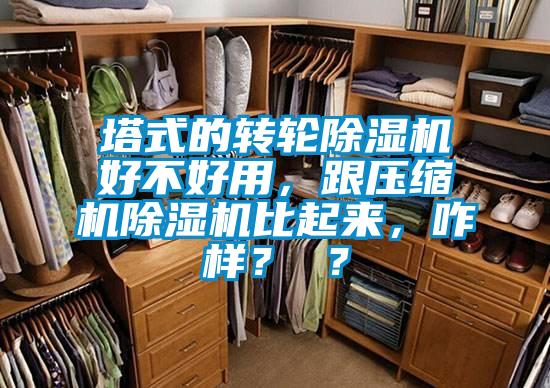 塔式的轉(zhuǎn)輪除濕機(jī)好不好用，跟壓縮機(jī)除濕機(jī)比起來(lái)，咋樣？ ？