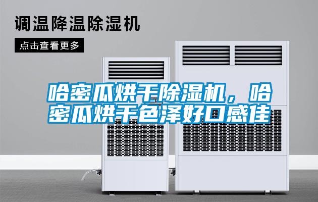 哈密瓜烘干除濕機，哈密瓜烘干色澤好口感佳