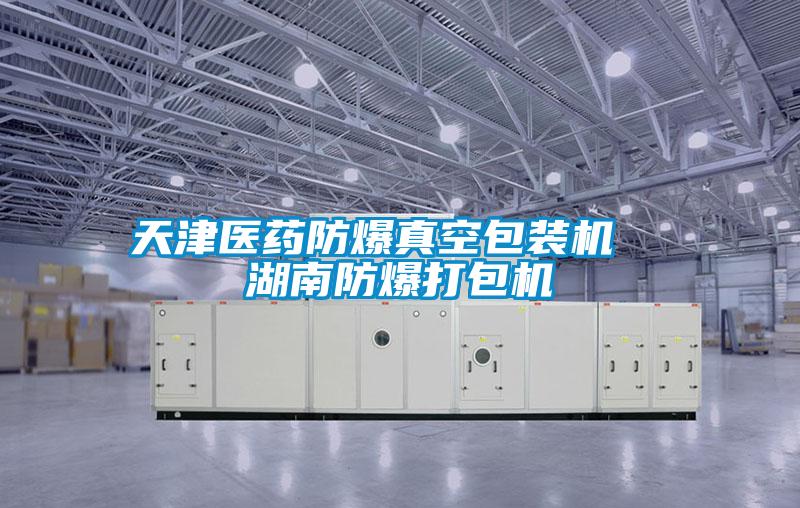 天津醫藥防爆真空包裝機  湖南防爆打包機