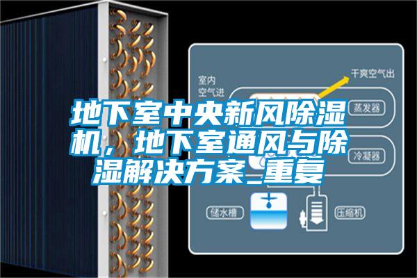 地下室中央新風除濕機，地下室通風與除濕解決方案_重復