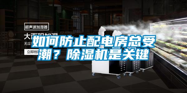 如何防止配電房總受潮？除濕機是關鍵
