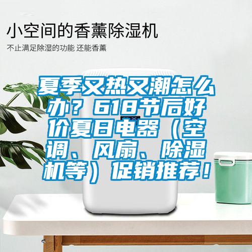 夏季又熱又潮怎么辦?618節(jié)后好價(jià)夏日電器(空調(diào)、風(fēng)扇、除濕機(jī)等)促銷推薦!