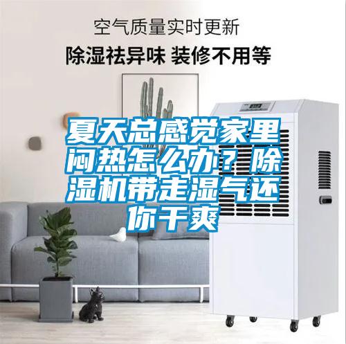 夏天總感覺家里悶熱怎么辦？除濕機帶走濕氣還你干爽