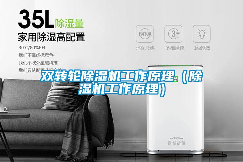 雙轉輪除濕機工作原理(除濕機工作原理)