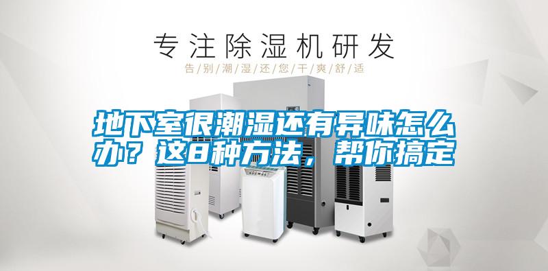 地下室很潮濕還有異味怎么辦？這8種方法，幫你搞定