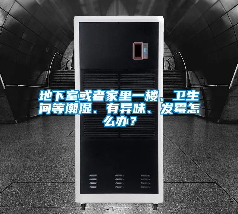地下室或者家里一樓、衛(wèi)生間等潮濕、有異味、發(fā)霉怎么辦?
