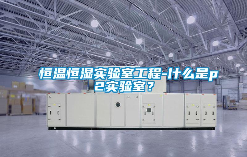 恒溫恒濕實驗室工程-什么是p2實驗室?