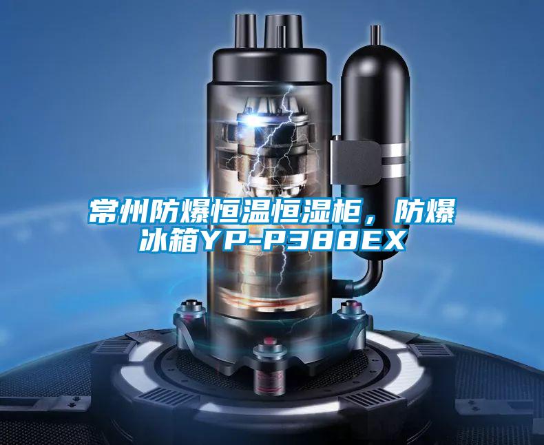 常州防爆恒溫恒濕柜,防爆冰箱YP-P388EX