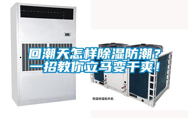 回潮天怎樣除濕防潮？一招教你立馬變干爽！