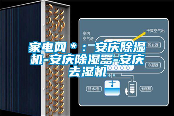 家電網*:安慶除濕機-安慶除濕器-安慶去濕機