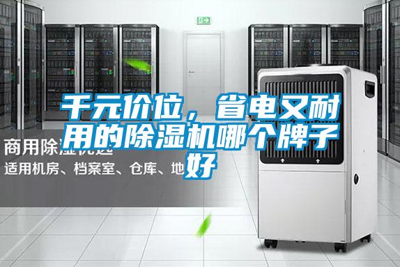 千元價位，省電又耐用的除濕機哪個牌子好