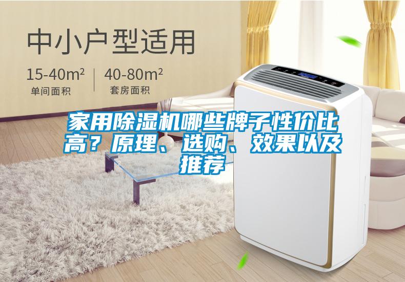 家用除濕機哪些牌子性價比高？原理、選購、效果以及推薦