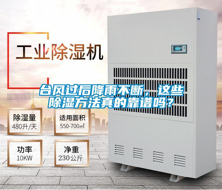 臺風過后降雨不斷，這些除濕方法真的靠譜嗎？