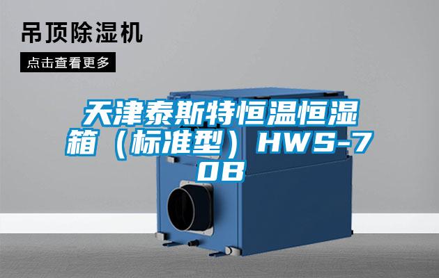 天津泰斯特恒溫恒濕箱(標準型)HWS-70B