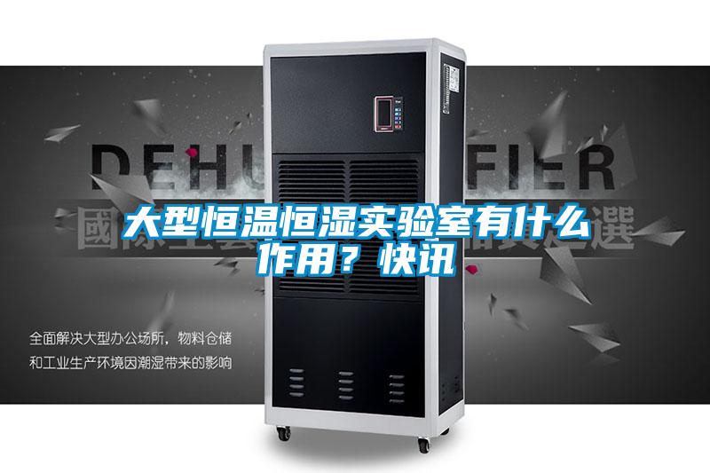 大型恒溫恒濕實驗室有什么作用?快訊