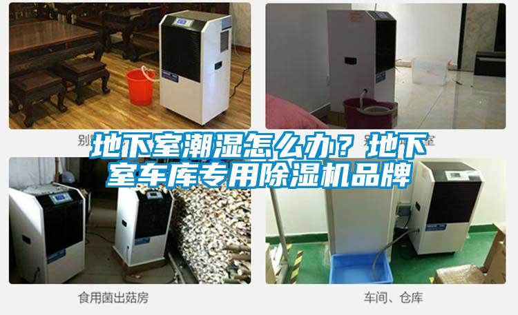 地下室潮濕怎么辦？地下室車(chē)庫(kù)專(zhuān)用除濕機(jī)品牌