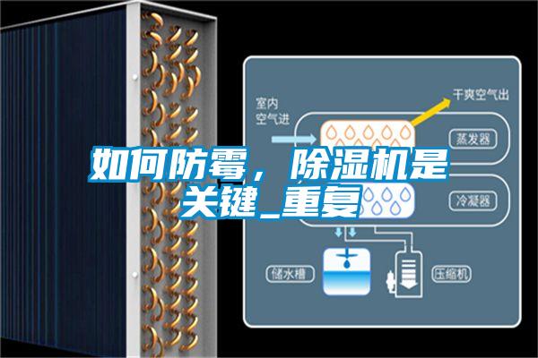 如何防霉，除濕機是關鍵_重復