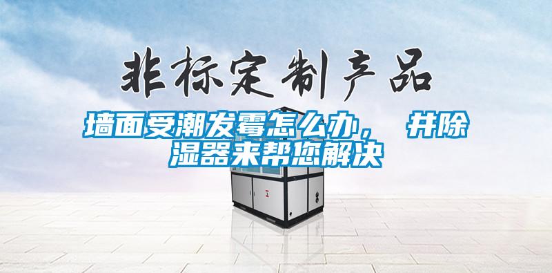 墻面受潮發霉怎么辦，東井除濕器來幫您解決