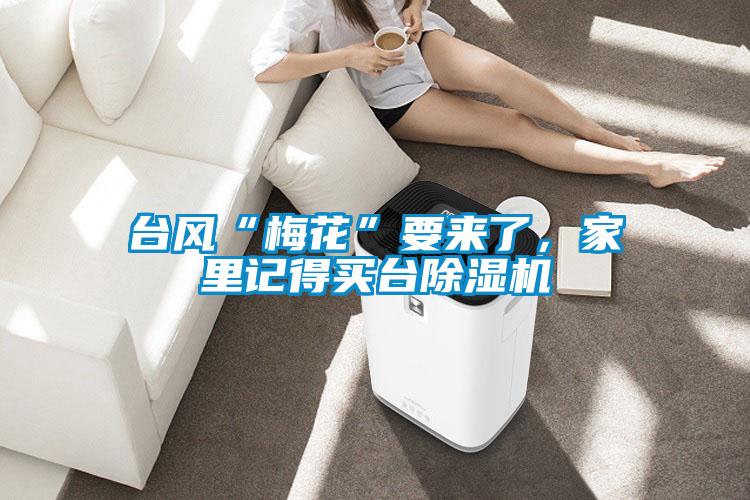 臺風“梅花”要來了,家里記得買臺除濕機