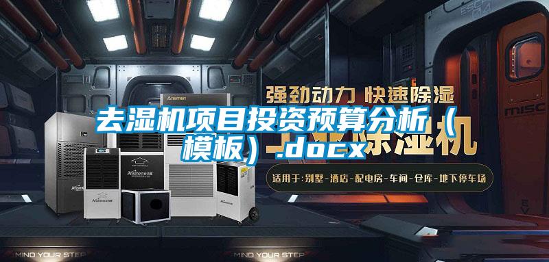 去濕機項目投資預算分析(模板).docx