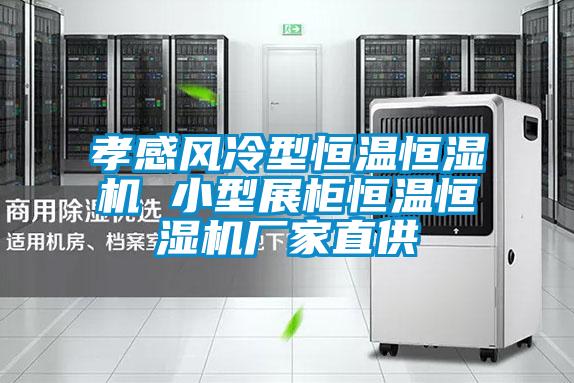 孝感風冷型恒溫恒濕機 小型展柜恒溫恒濕機廠家直供