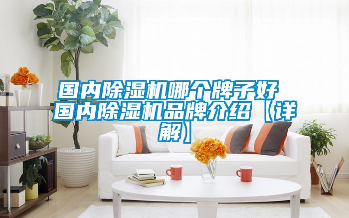 國內除濕機哪個牌子好 國內除濕機品牌介紹【詳解】
