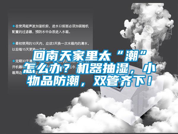 回南天家里太“潮”怎么辦?機器抽濕,小物品防潮,雙管齊下!