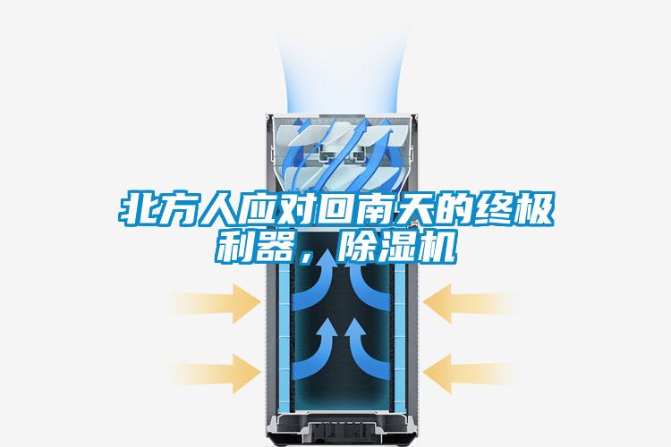 北方人應對回南天的終極利器,除濕機