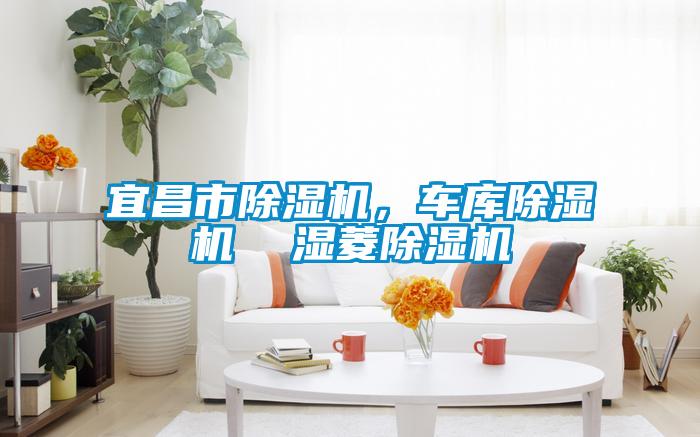 宜昌市除濕機,車庫除濕機 濕菱除濕機