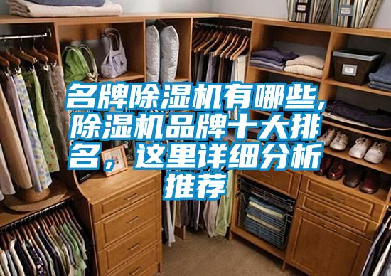 名牌除濕機(jī)有哪些,除濕機(jī)品牌十大排名,這里詳細(xì)分析推薦