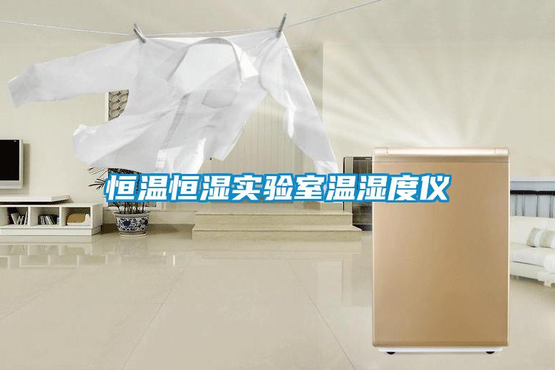 恒溫恒濕實驗室溫濕度儀