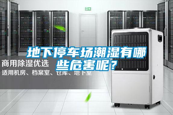 地下停車場潮濕有哪些危害呢?