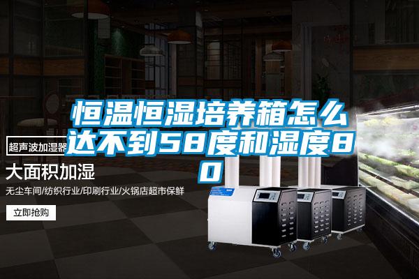 恒溫恒濕培養箱怎么達不到58度和濕度80