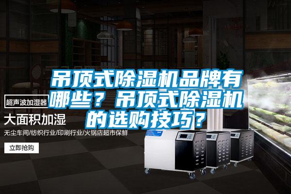吊頂式除濕機品牌有哪些？吊頂式除濕機的選購技巧？